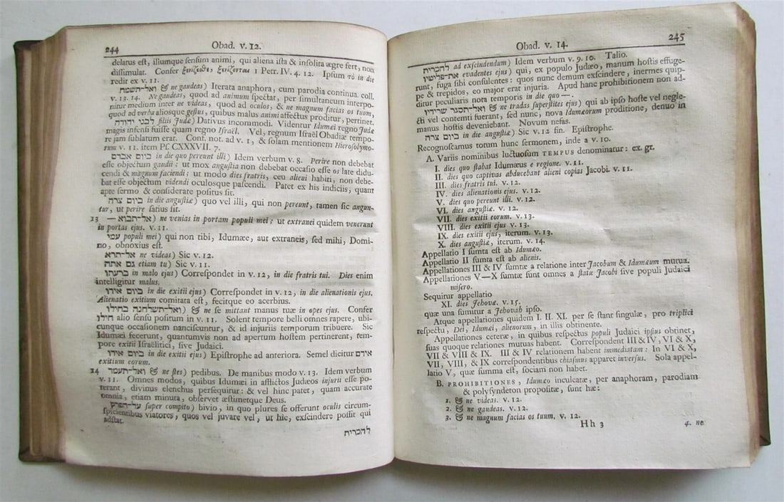 1753 Gnomon in duodecim Prophetas Minores VELLUM antique LATIN & HEBREW - 8