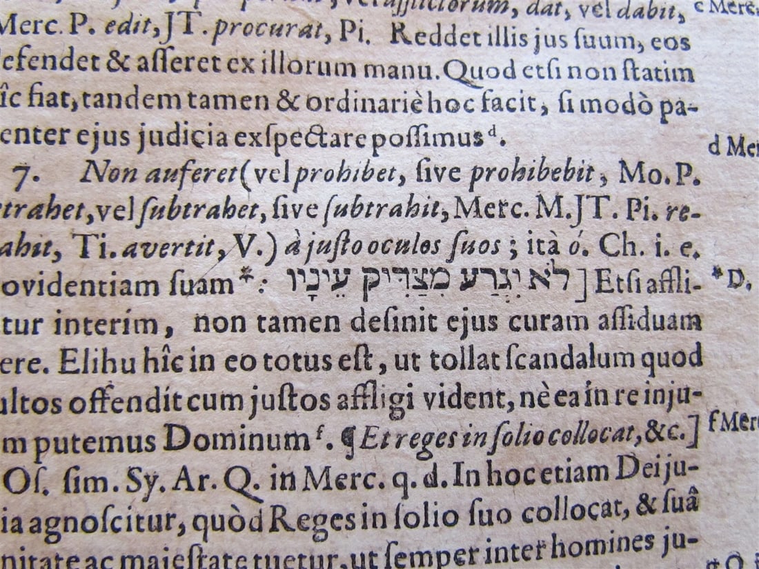 1668 PIGSKIN BOUND antique FOLIO BIBLE COMMENTARY by MATTHEW POLO Vol. 2 - 10