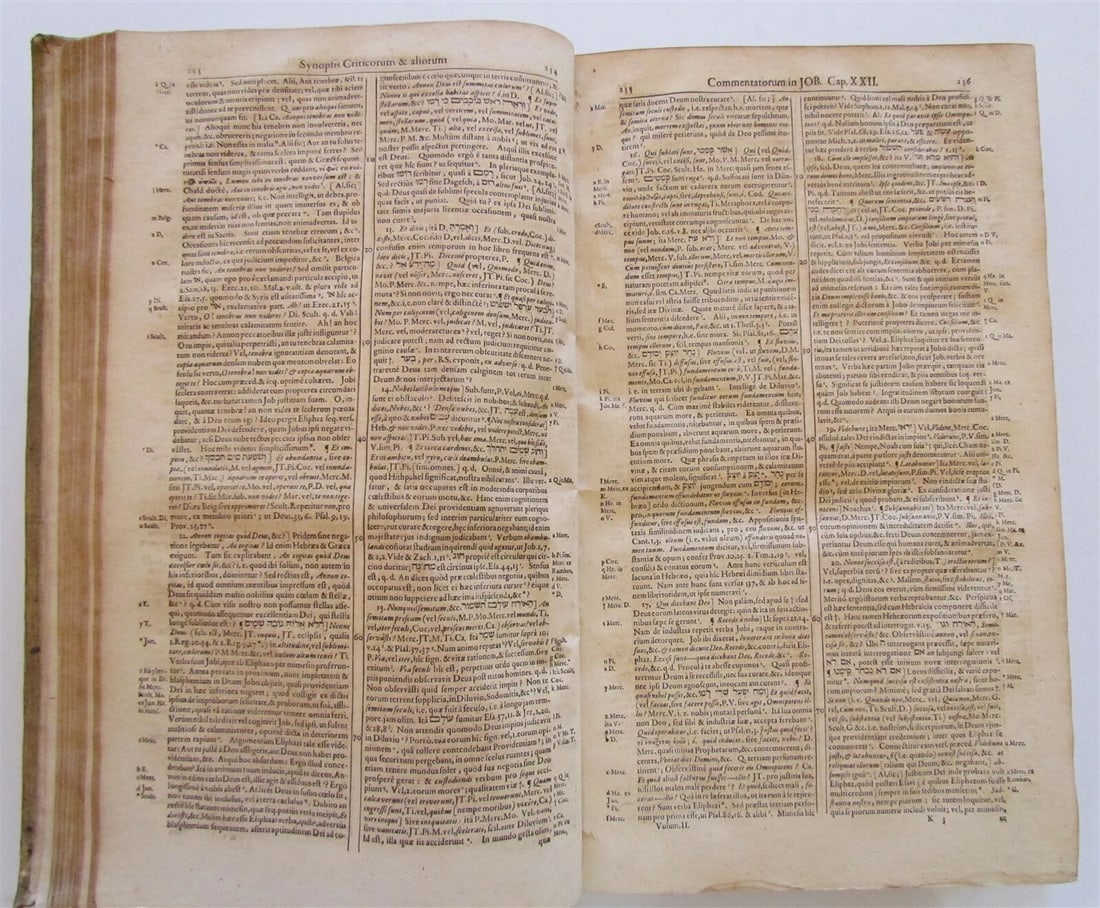 1668 PIGSKIN BOUND antique FOLIO BIBLE COMMENTARY by MATTHEW POLO Vol. 2 - 9