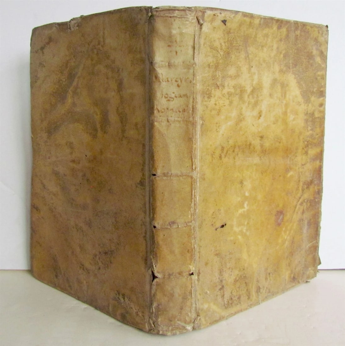 1732 ROMAN MARTIROLOGY antique VELLUM BOUND MARTIROLOGIUM ROMANUM - 2