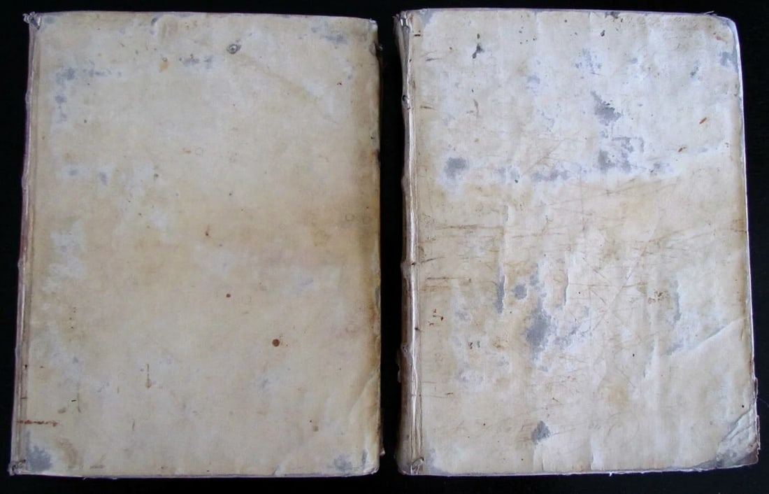 1730 BIBLIA in LATIN VELLUM BOUND 2 VOLUMES PRINTED IN VENICE ANTIQUE HOLY BIBLE - 3