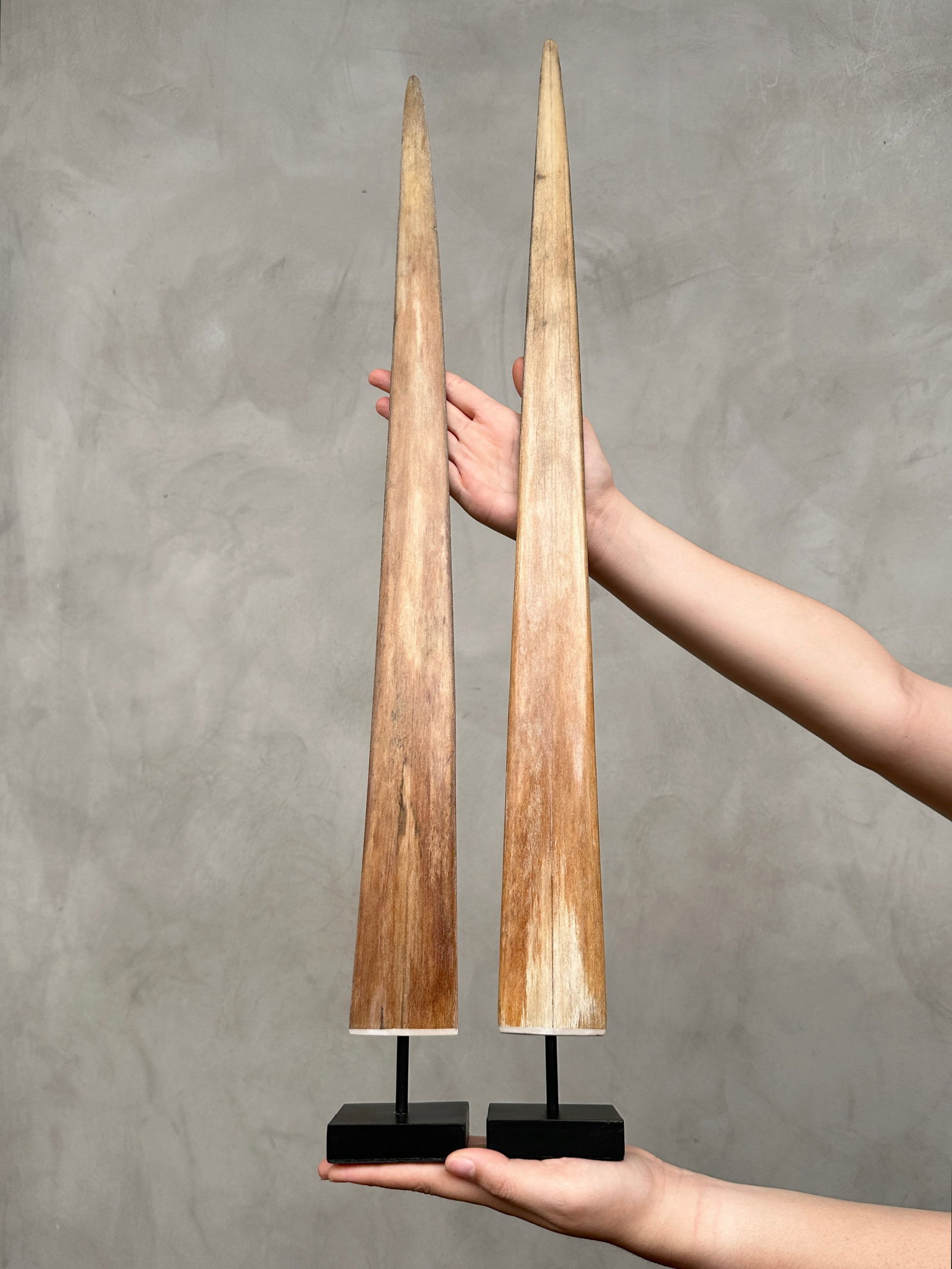 Pair of swordfish tusks with custom stands (1 of 10)