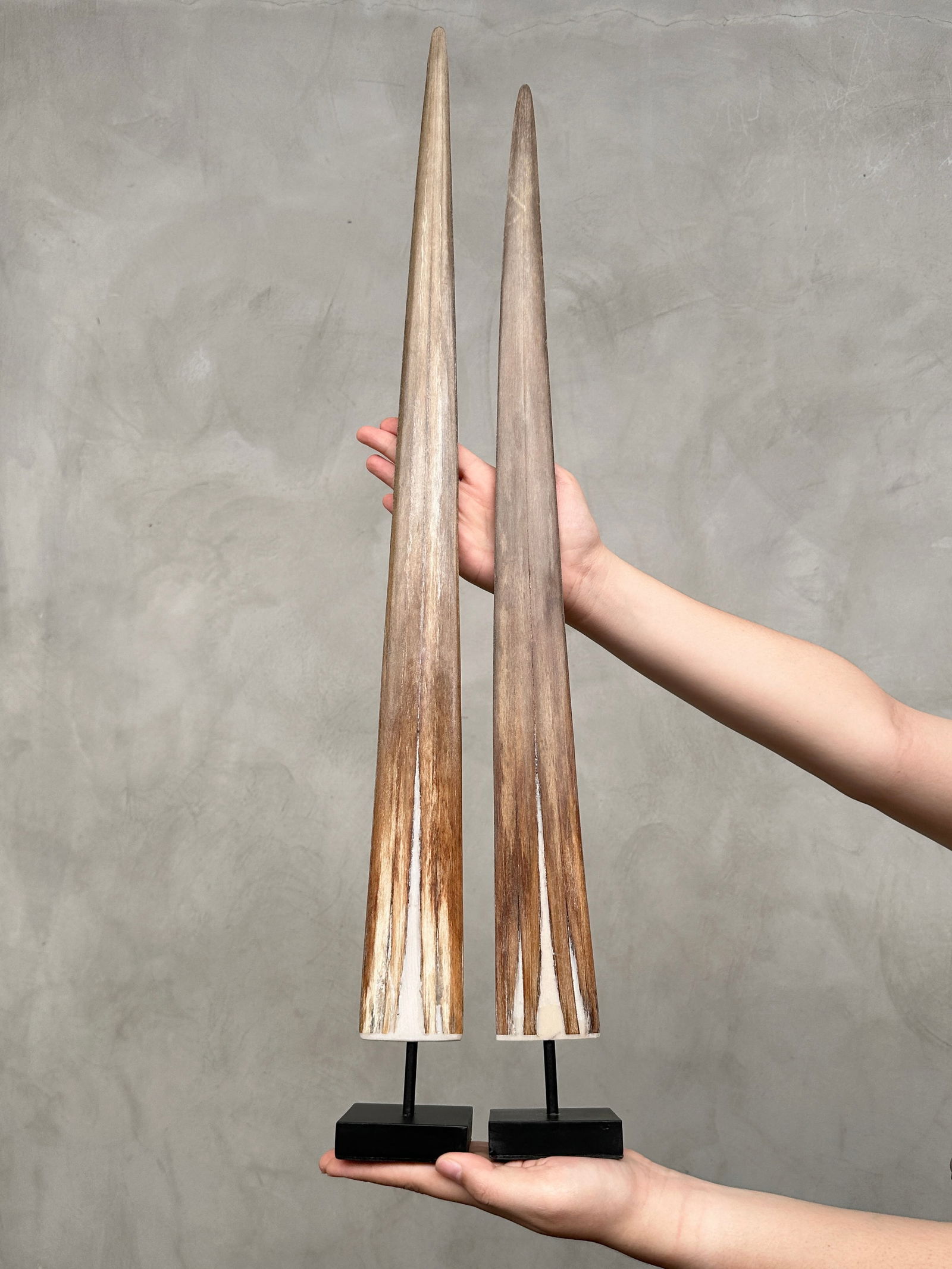 Pair of swordfish tusks with custom stands - 2