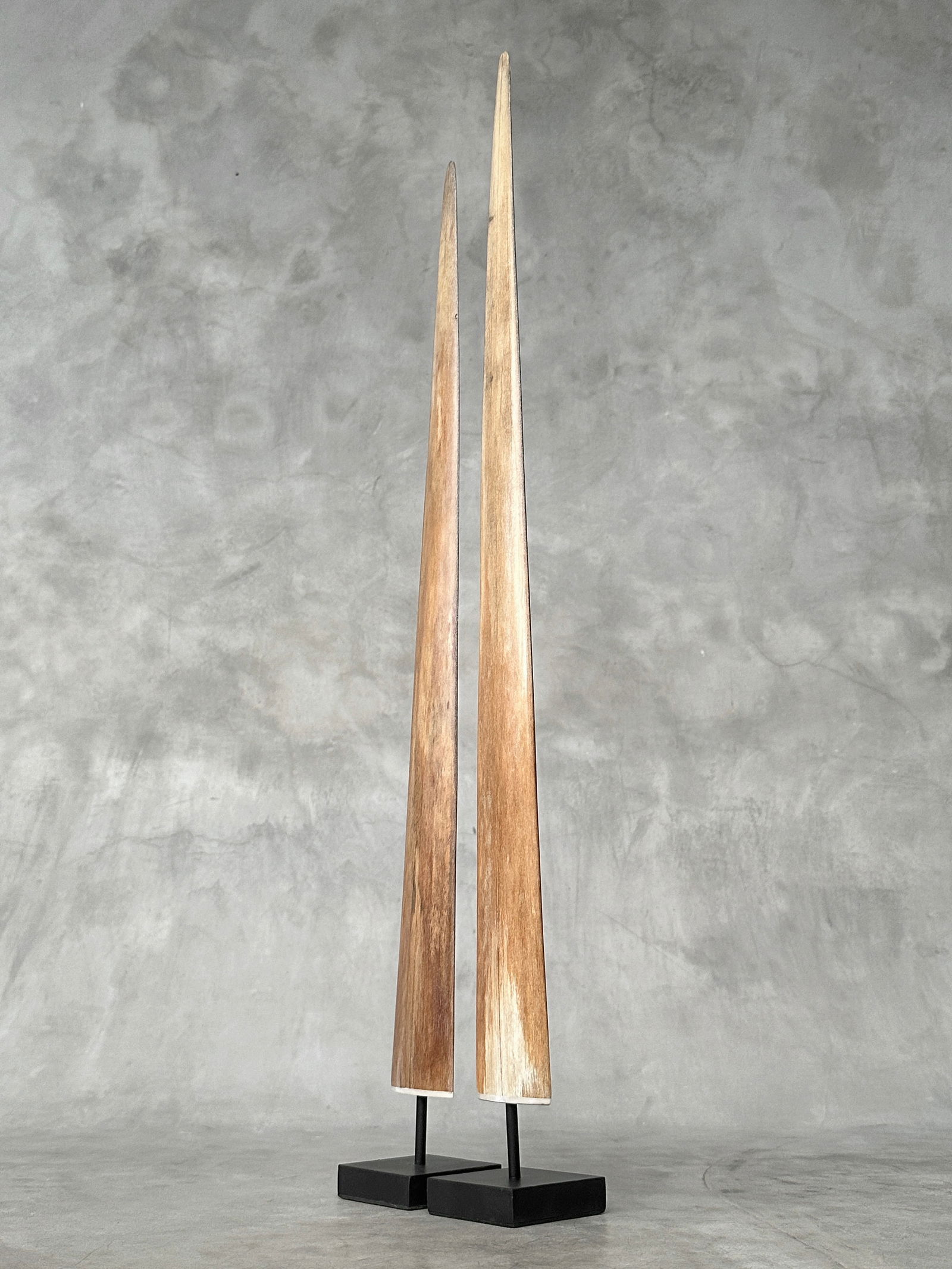 Pair of swordfish tusks with custom stands - 3