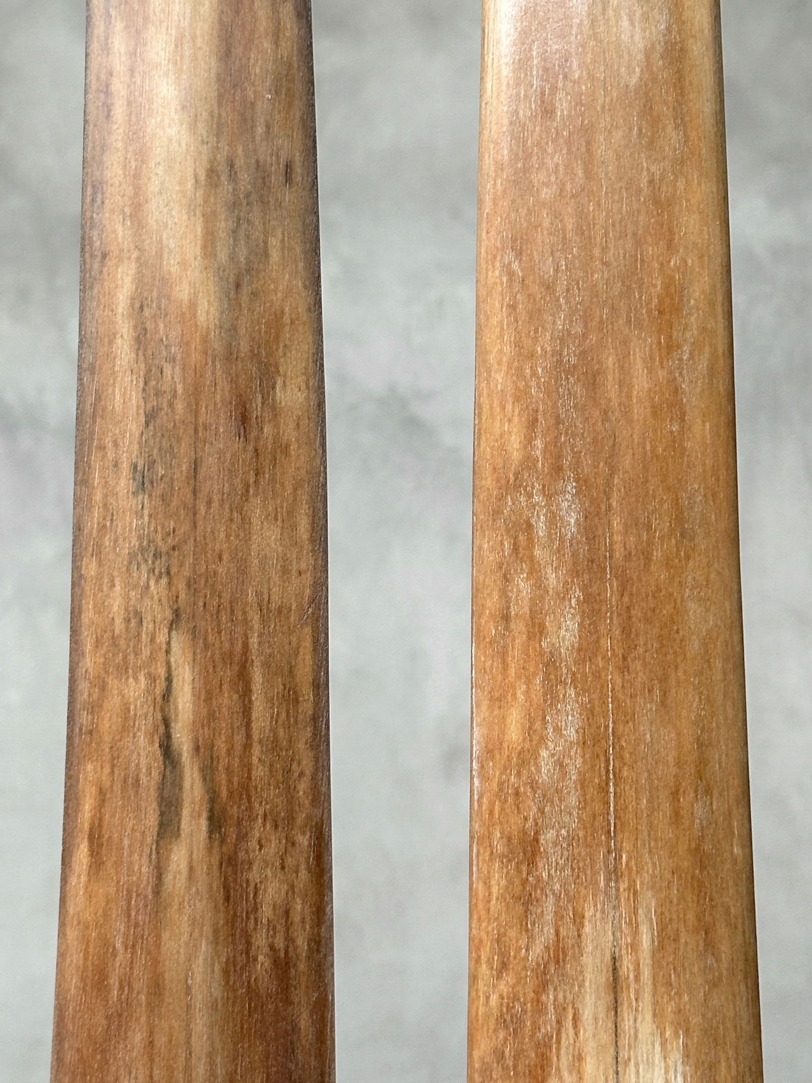 Pair of swordfish tusks with custom stands - 5