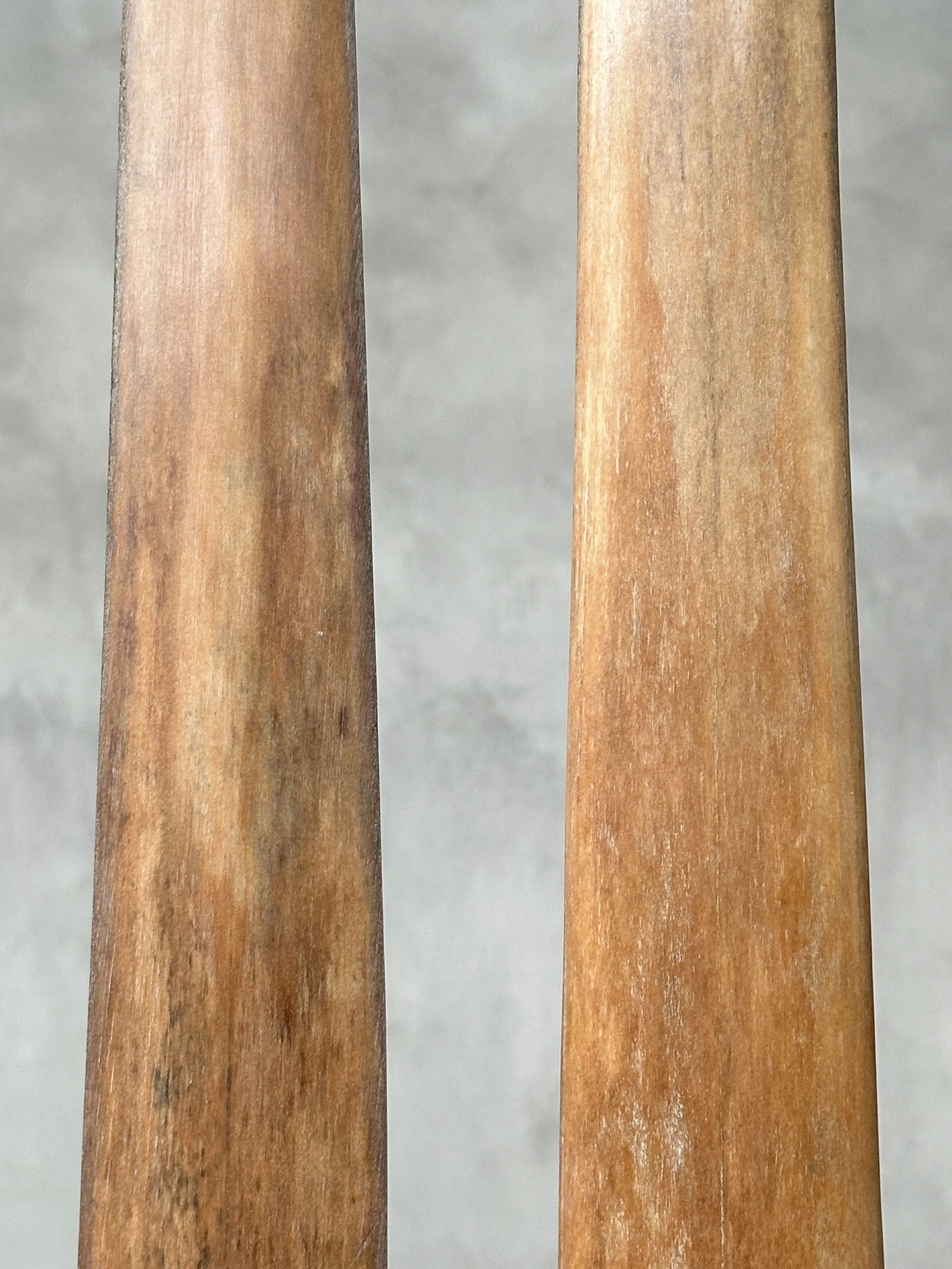 Pair of swordfish tusks with custom stands - 6