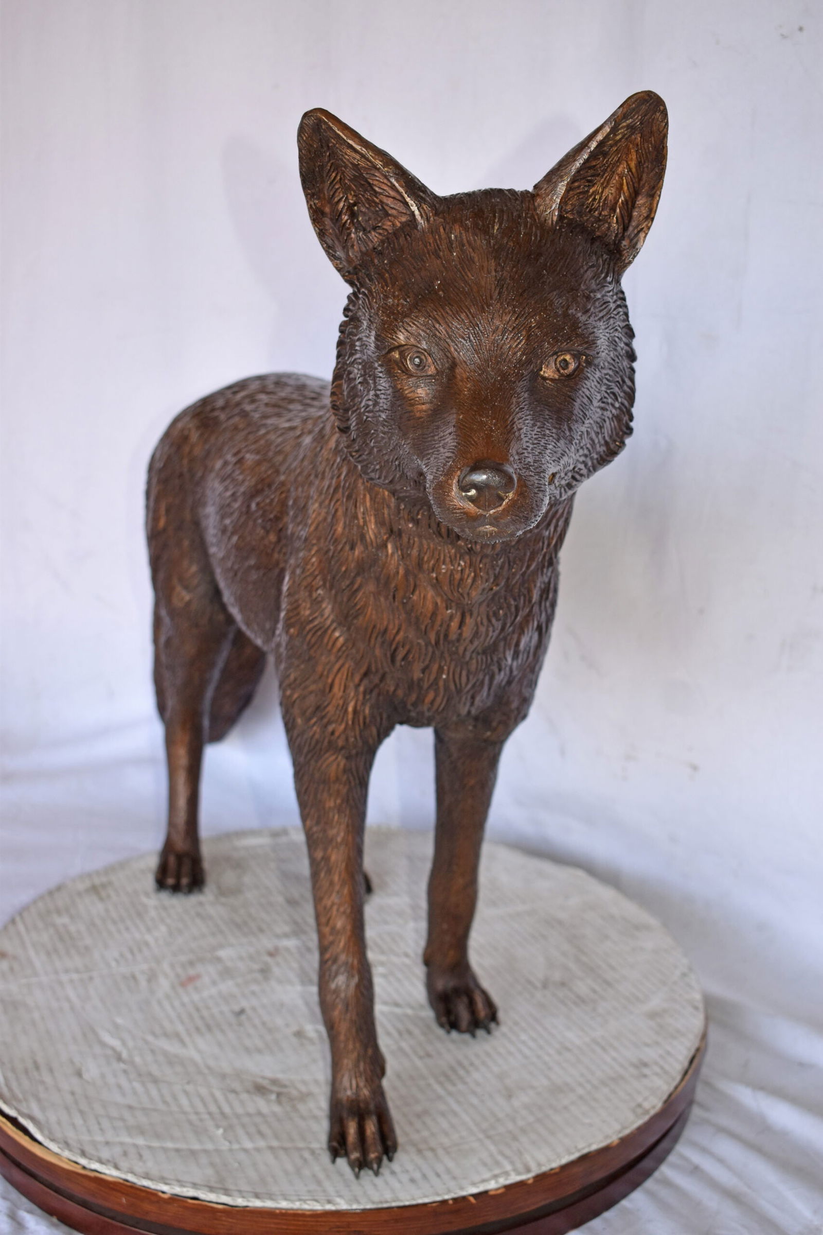Fox Standing Life Size Bronze Statue - Size: 42"L x 9"W x 27"H. - 4