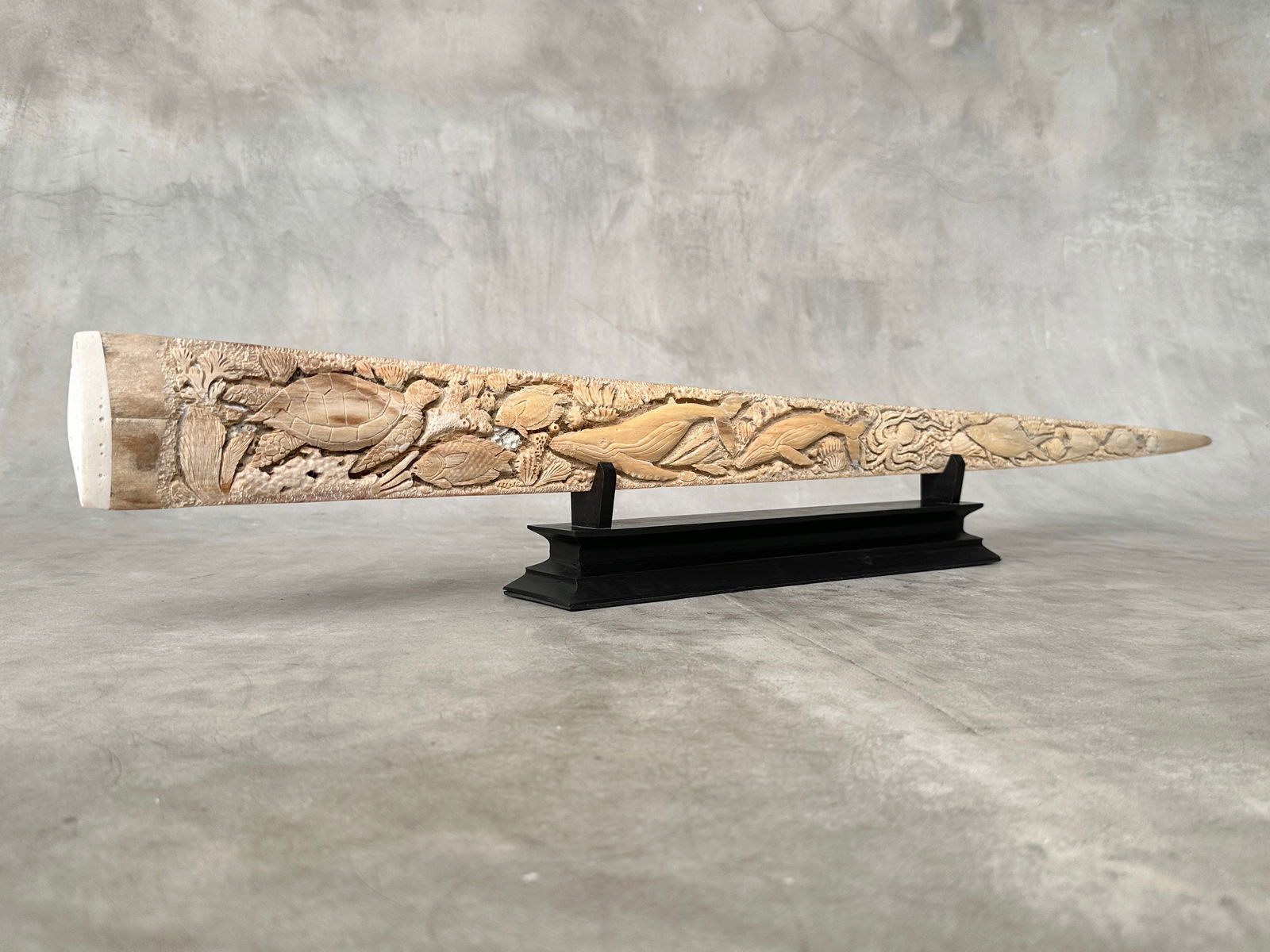 Wonderful engraved Swordfish rostrum - Marine motif - 4