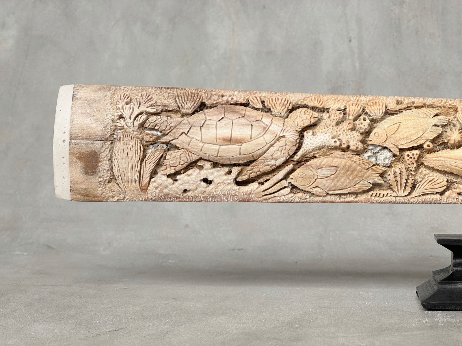 Wonderful engraved Swordfish rostrum - Marine motif - 5