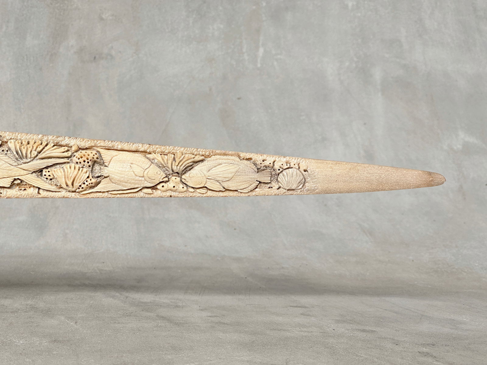 Wonderful engraved Swordfish rostrum - Marine motif - 9