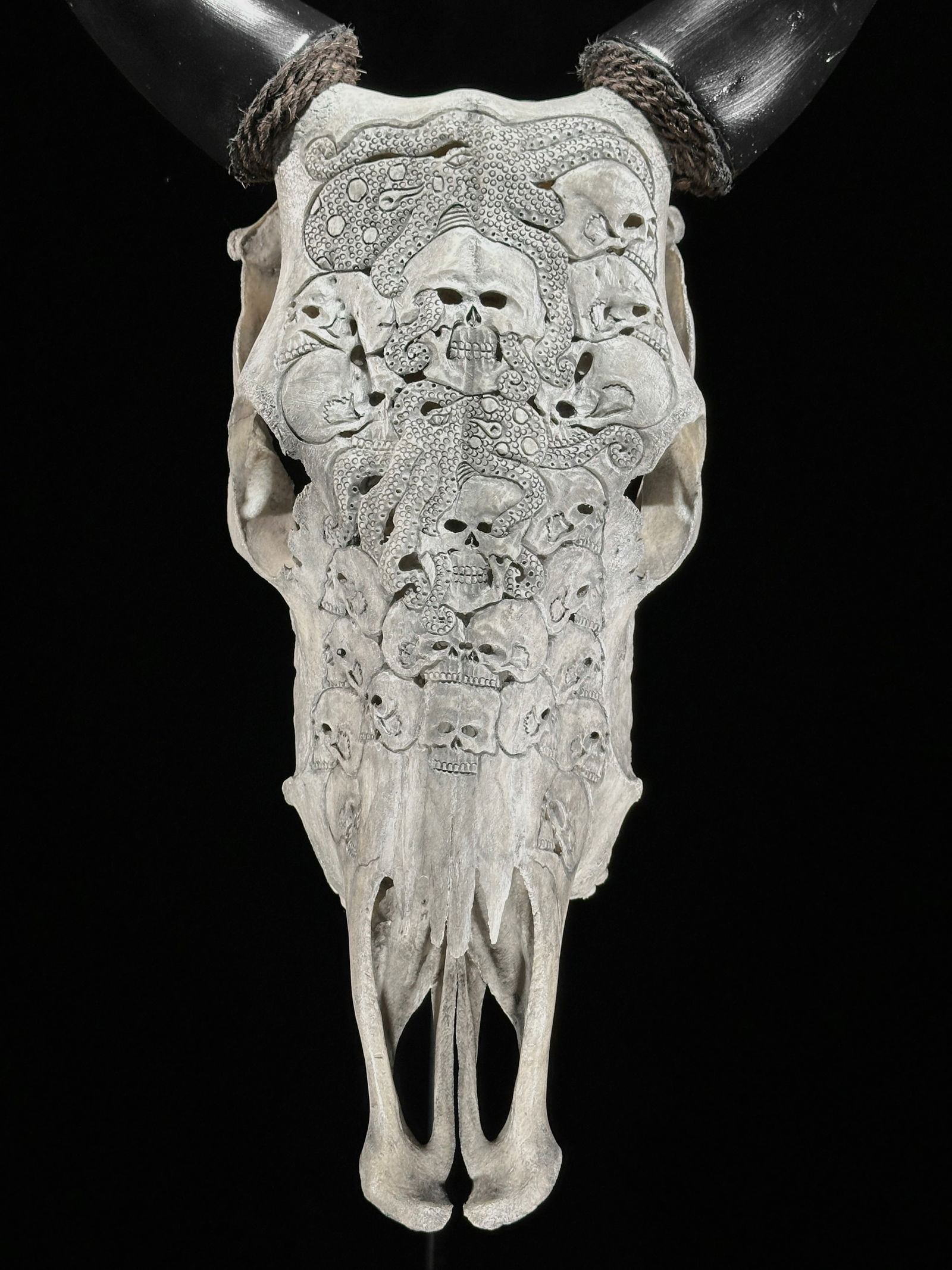 Stunning carved grey cow skull - Human skulls octopus motif - 10
