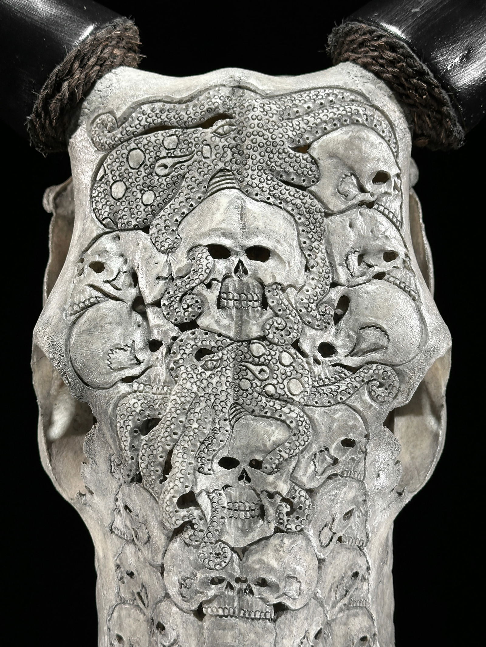 Stunning carved grey cow skull - Human skulls octopus motif - 2