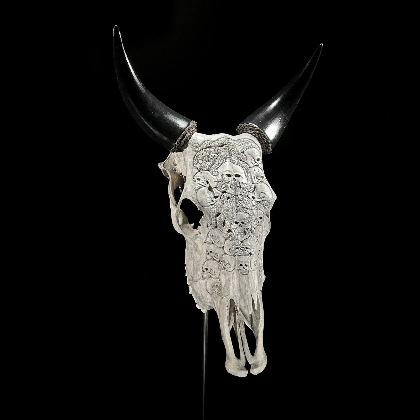 Stunning carved grey cow skull - Human skulls octopus motif - 4