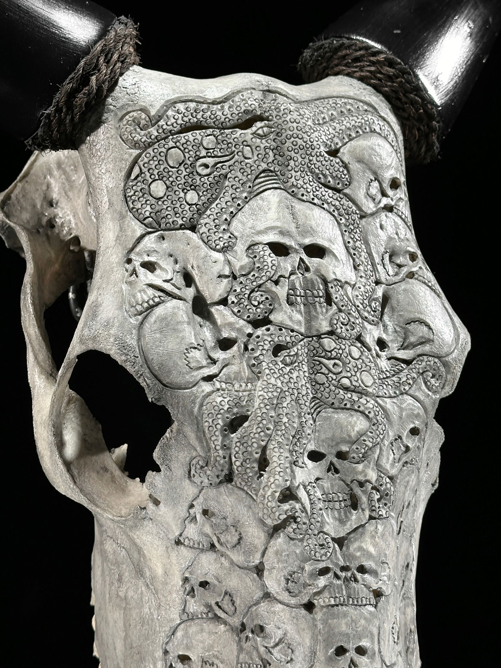 Stunning carved grey cow skull - Human skulls octopus motif - 6