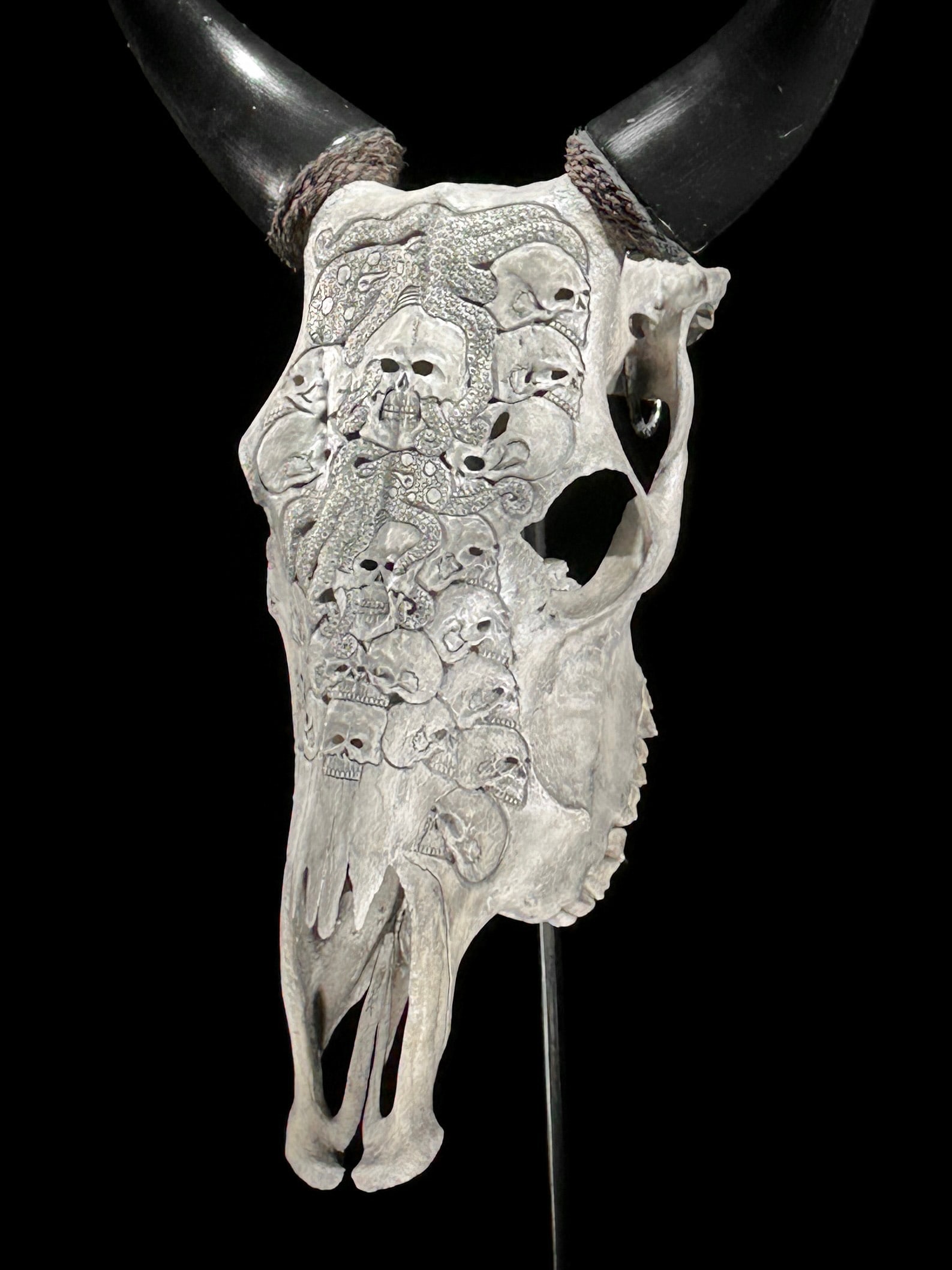 Stunning carved grey cow skull - Human skulls octopus motif - 7