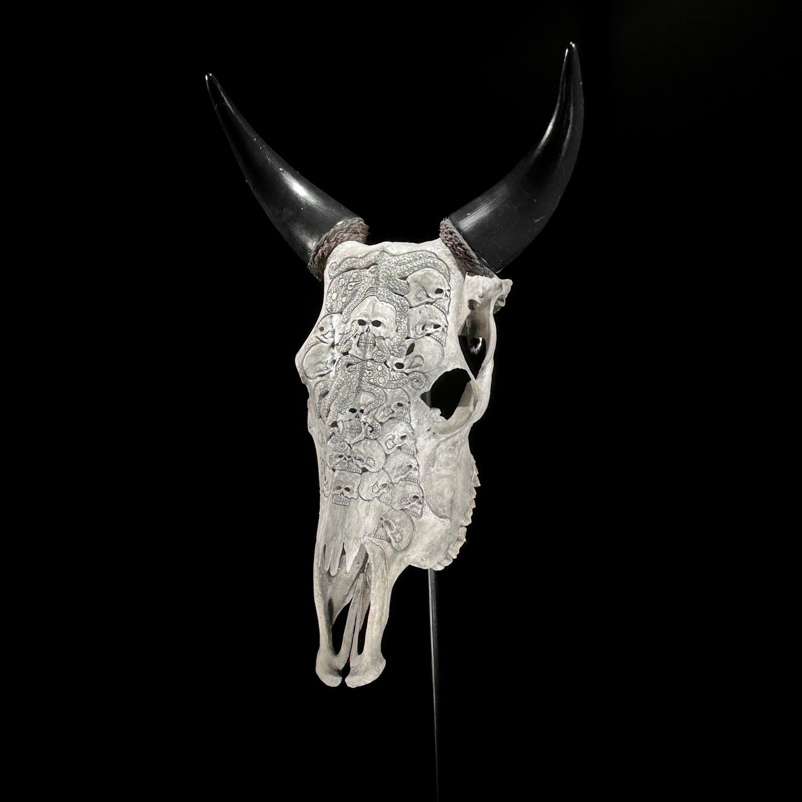 Stunning carved grey cow skull - Human skulls octopus motif - 8