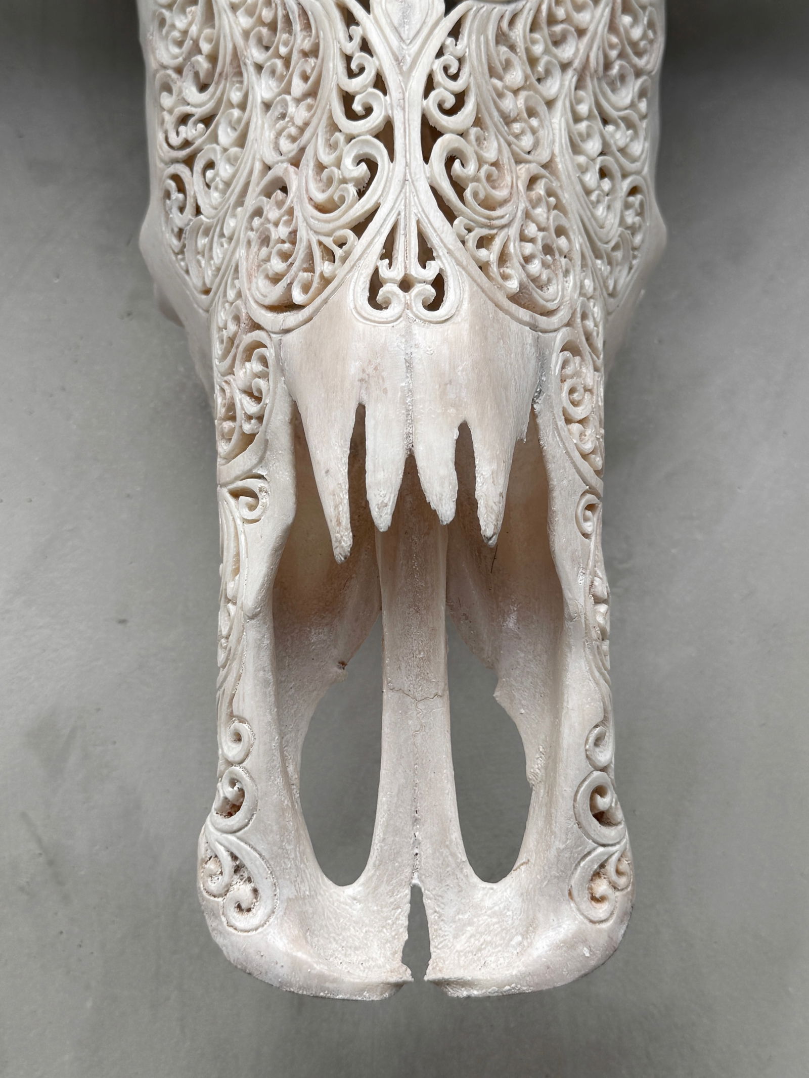 White carved water buffalo skull - Double flower mandala motif - 4