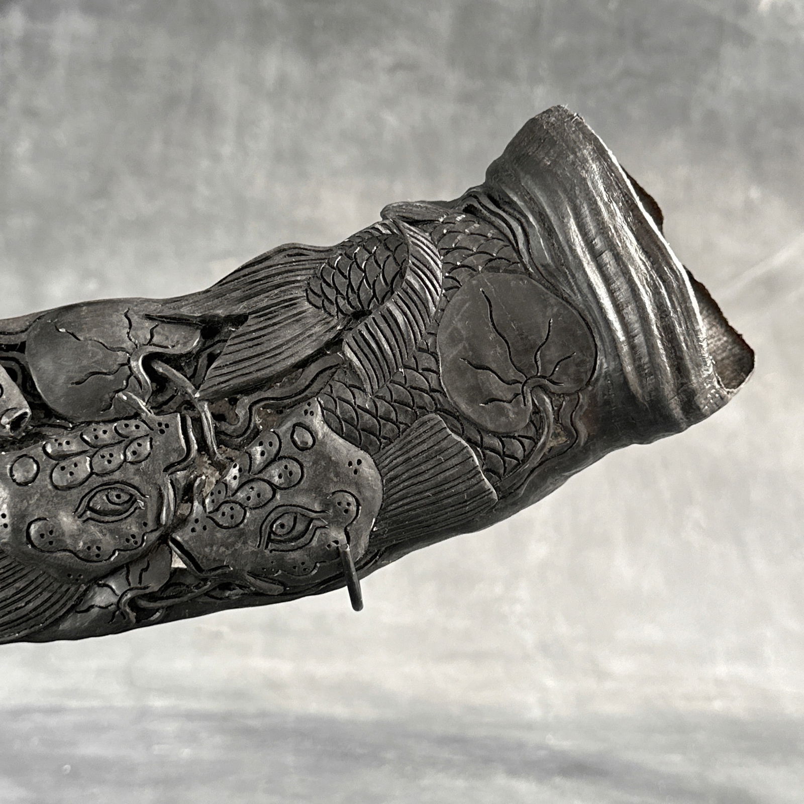 Finely Engraved large horn of a water buffalo - Japanese koi motif - 9