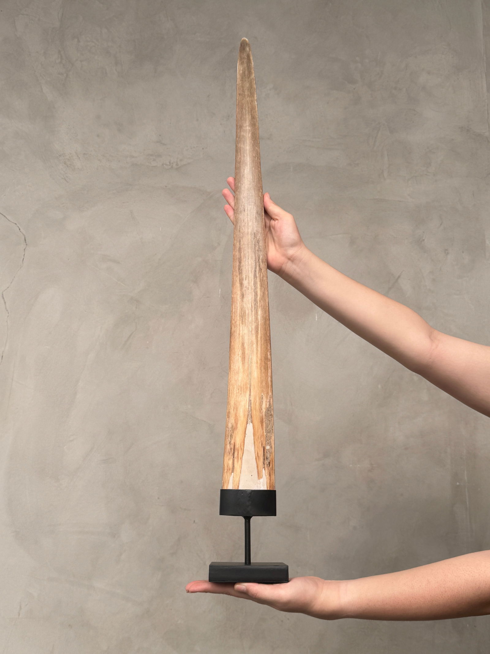 Carved swordfish tusk - Maori Mangapore - 2