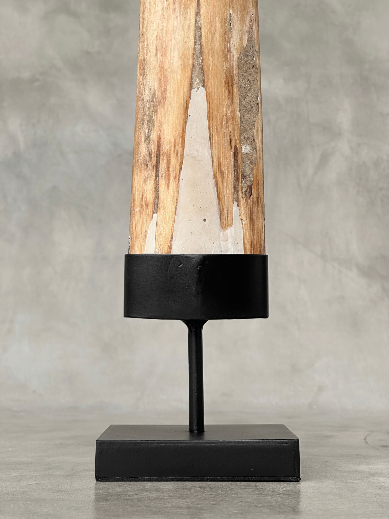 Carved swordfish tusk - Maori Mangapore - 9