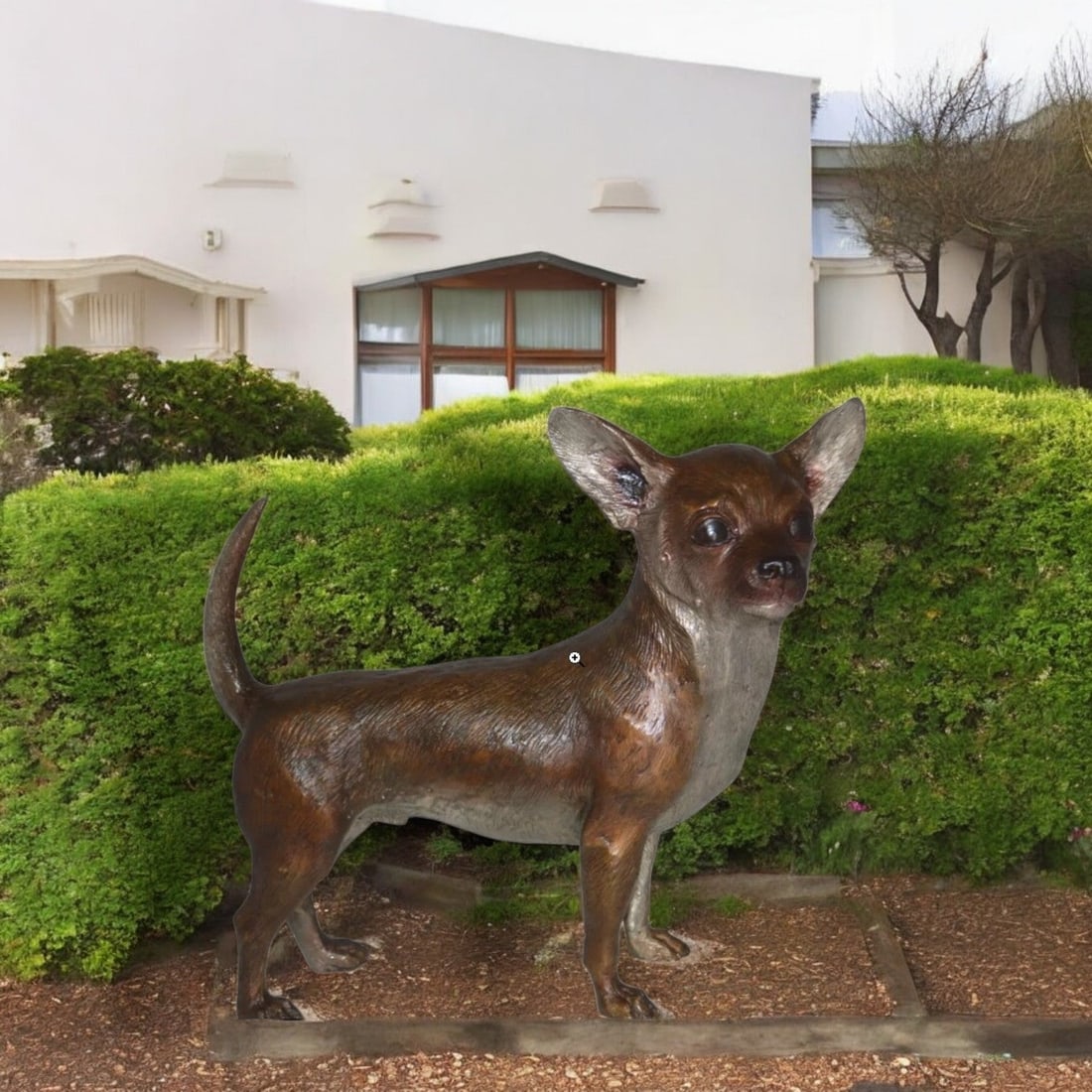 Standing Chihuahua Bronze Statue - Size: 6"L x 16"W x 14"H. - 2