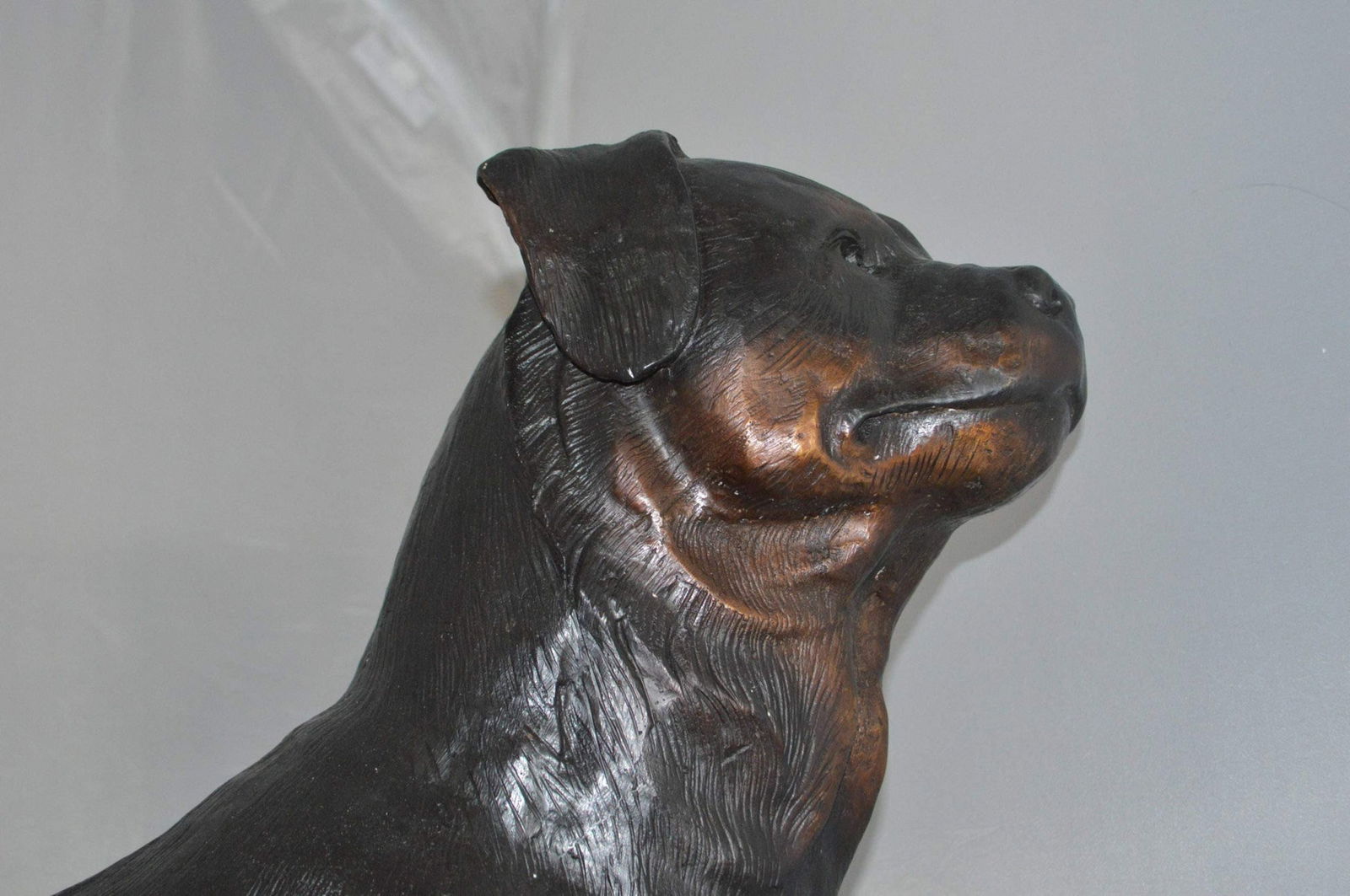 Rottweiler Dog Bronze Statue - Size: 44"L x 10"W x 36"H. - 3