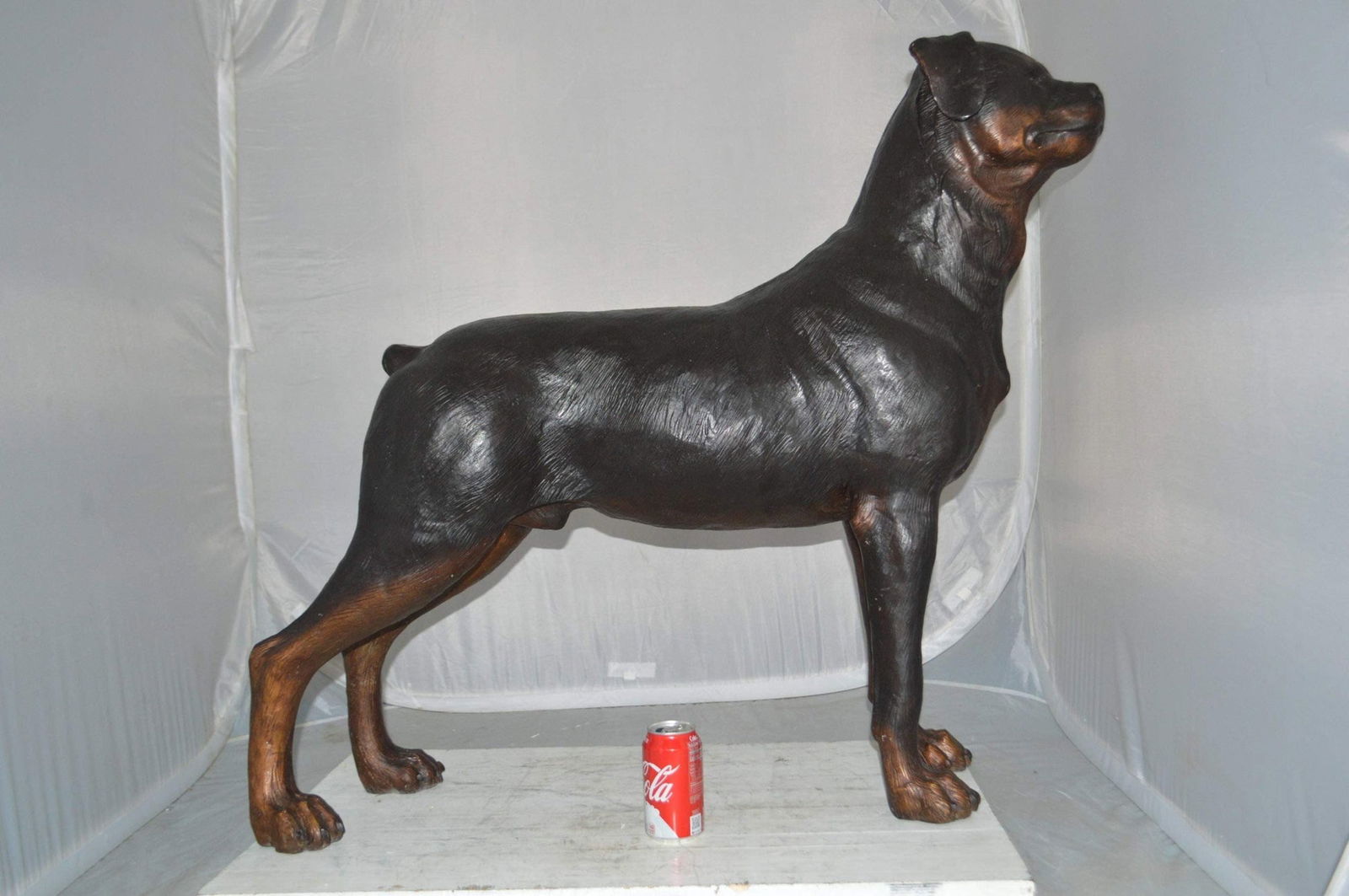 Rottweiler Dog Bronze Statue - Size: 44"L x 10"W x 36"H. - 4