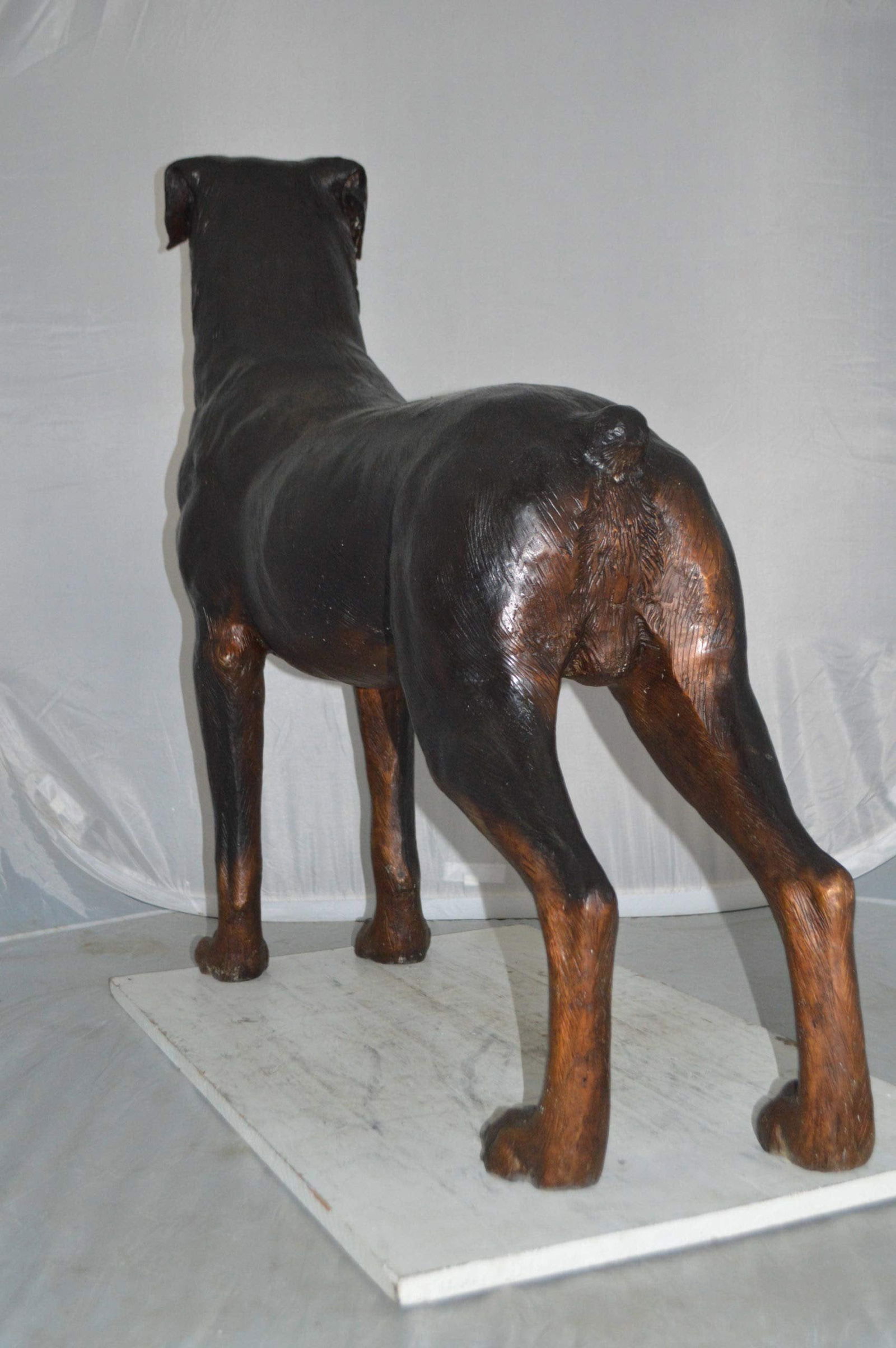 Rottweiler Dog Bronze Statue - Size: 44"L x 10"W x 36"H. - 7