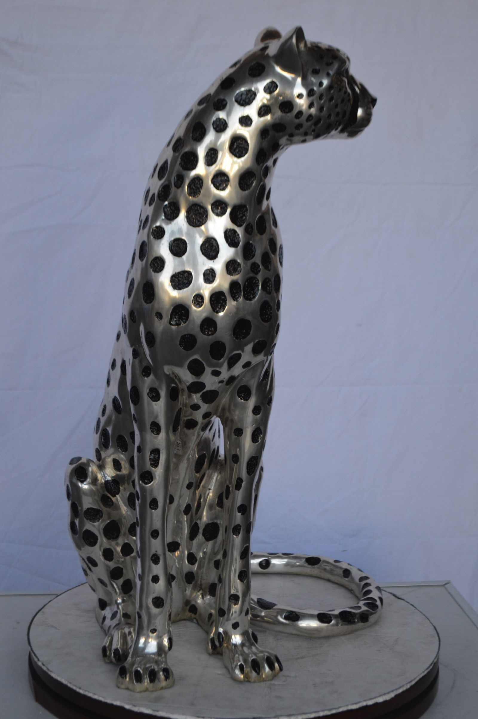 Sitting Cheetah Bronze Statue Silver Finish - Size: 21"L x 21"W x 34"H. - 4