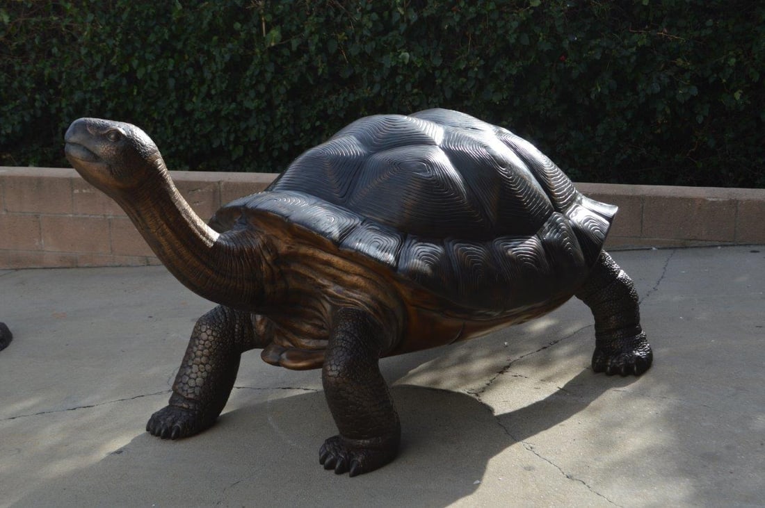 Giant Tortoise - Turtle bronze statue - Size: 64"L x 36"W x 36"H. - 4