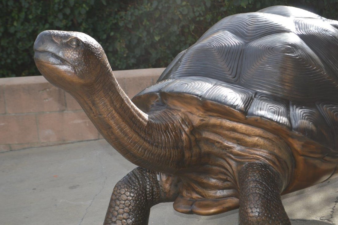 Giant Tortoise - Turtle bronze statue - Size: 64"L x 36"W x 36"H. - 5