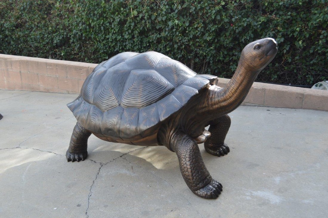 Giant Tortoise - Turtle bronze statue - Size: 64"L x 36"W x 36"H. - 6