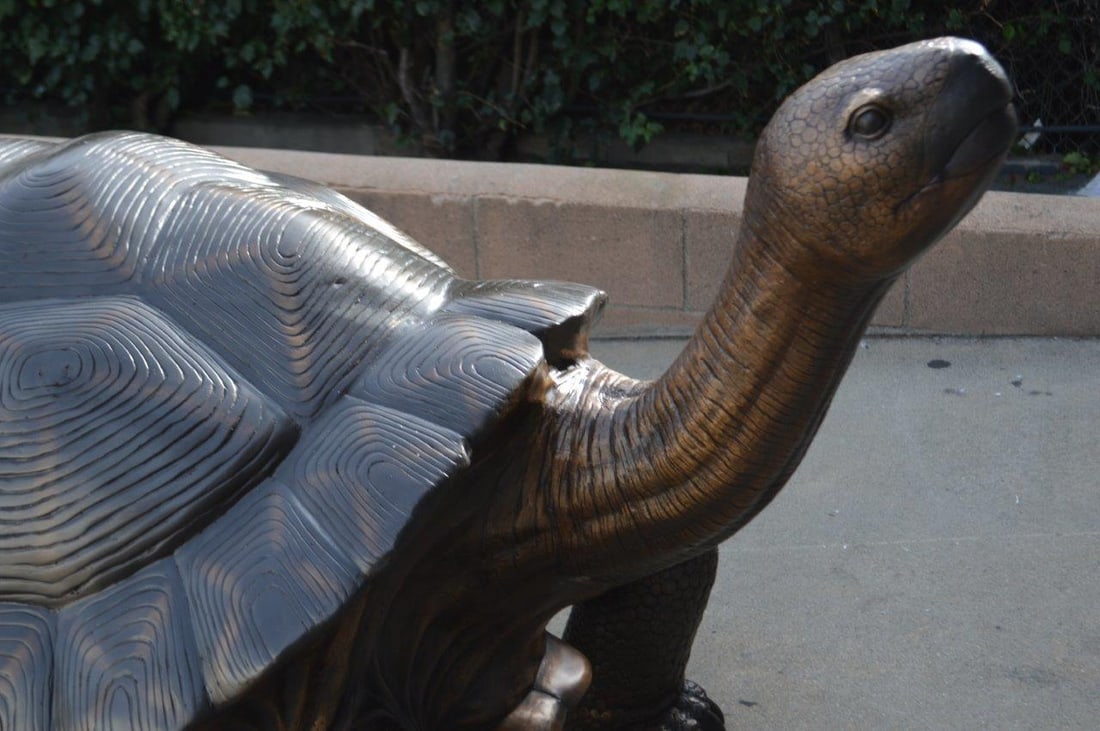 Giant Tortoise - Turtle bronze statue - Size: 64"L x 36"W x 36"H. - 7