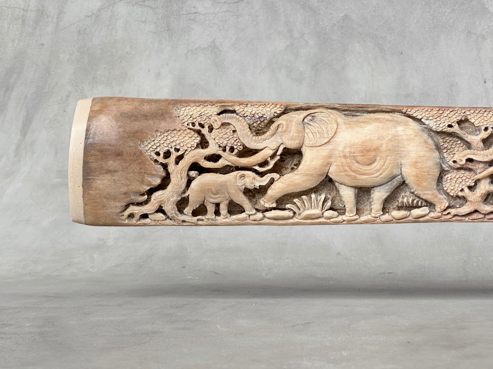 A stunning carved swordfish rostrum - Parade of Savannah elephants - 3