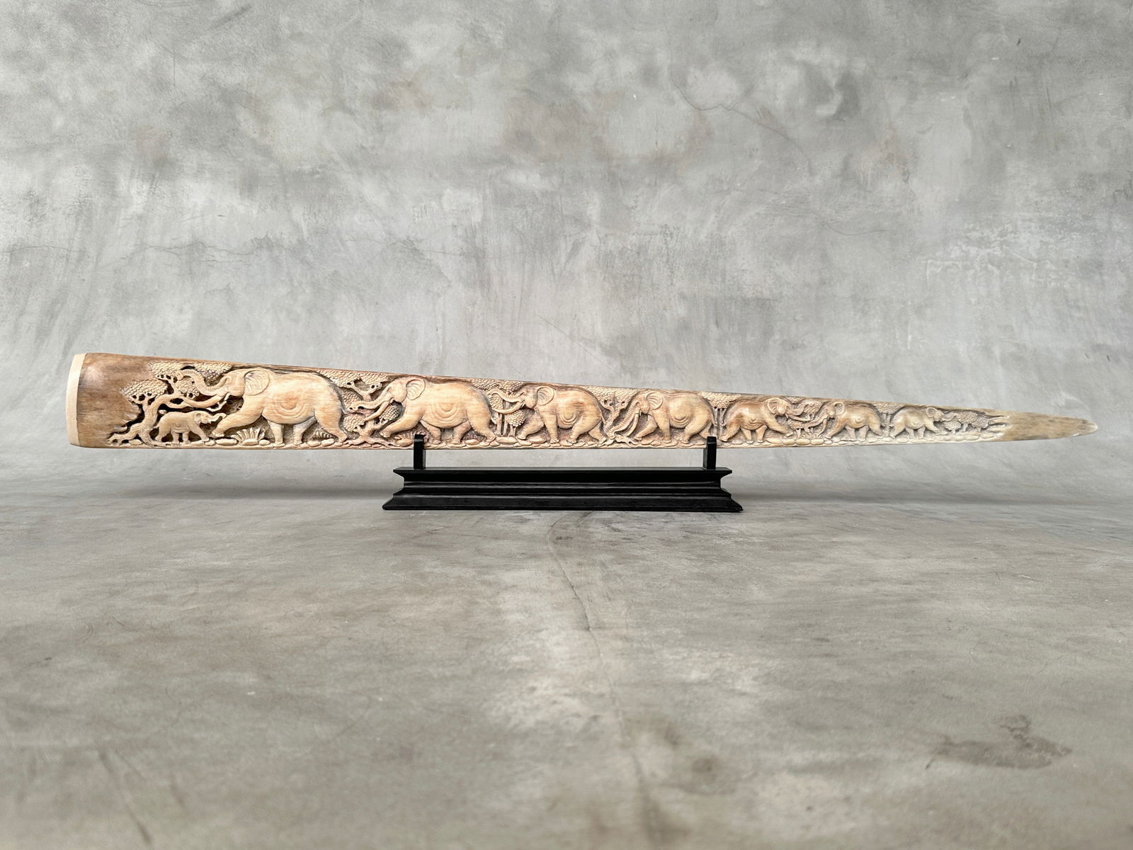 A stunning carved swordfish rostrum - Parade of Savannah elephants - 9