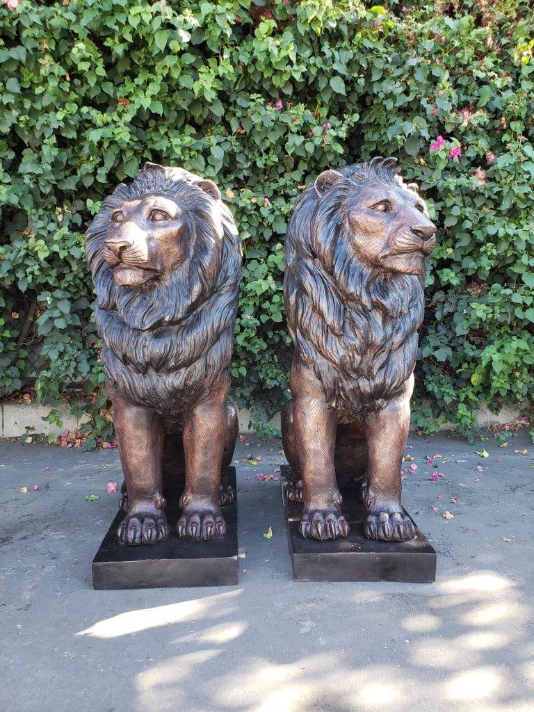 Pair of Life-size lions bronze statues - Size: 17"L x 35"W x 47"H. - 4
