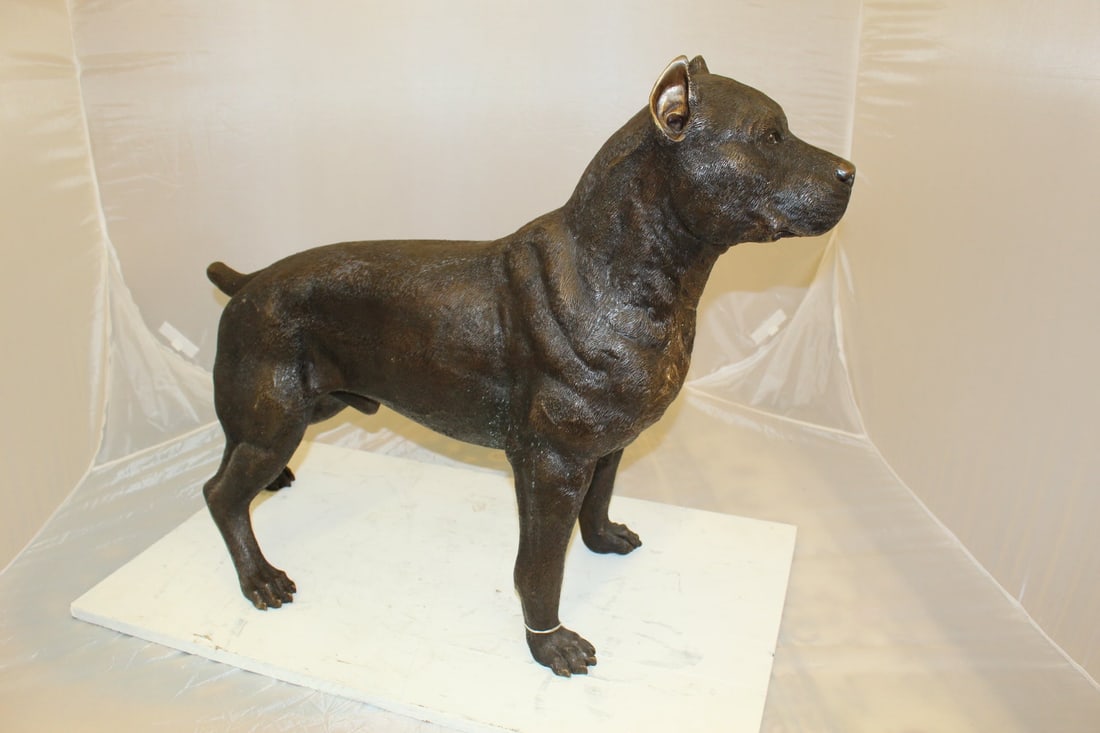 Pit Bull Dog Bronze Statue - Size: 33"L x 11"W x 26"H. - 10