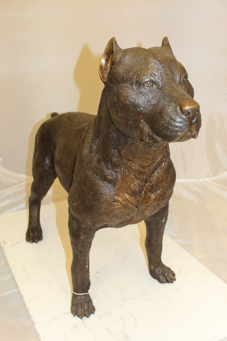 Pit Bull Dog Bronze Statue - Size: 33"L x 11"W x 26"H. - 11