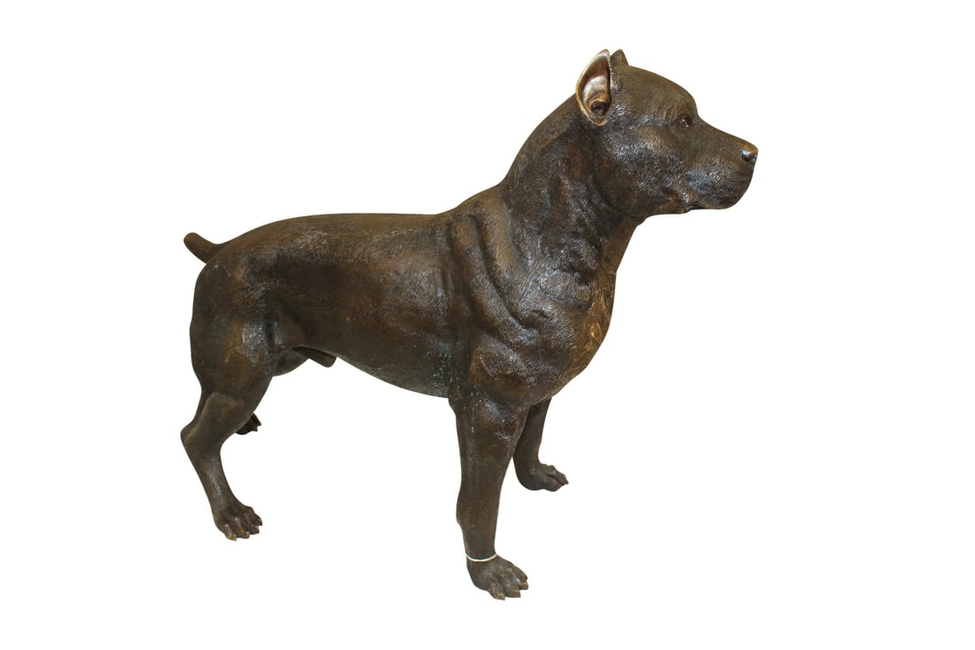 Pit Bull Dog Bronze Statue - Size: 33"L x 11"W x 26"H. - 4