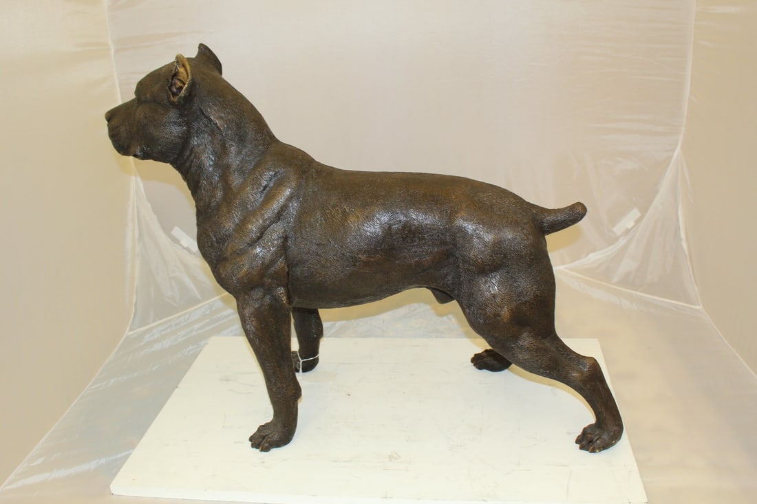 Pit Bull Dog Bronze Statue - Size: 33"L x 11"W x 26"H. - 6
