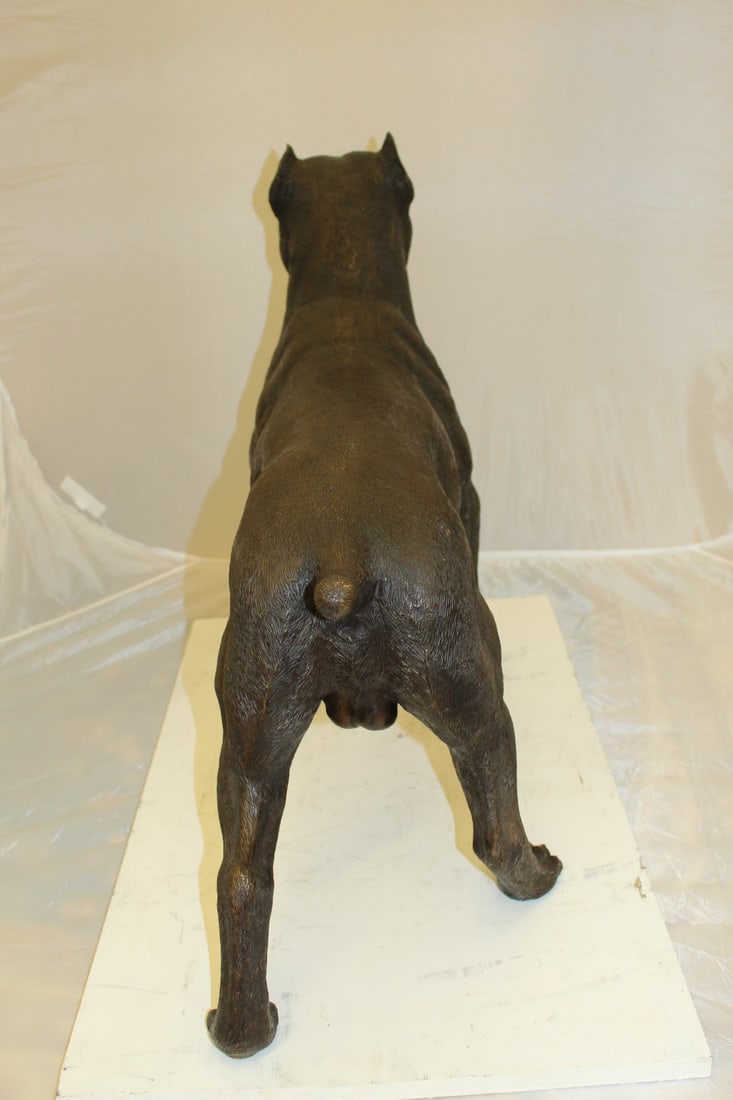 Pit Bull Dog Bronze Statue - Size: 33"L x 11"W x 26"H. - 8