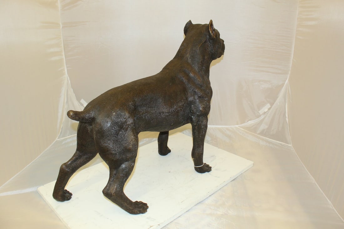 Pit Bull Dog Bronze Statue - Size: 33"L x 11"W x 26"H. - 9