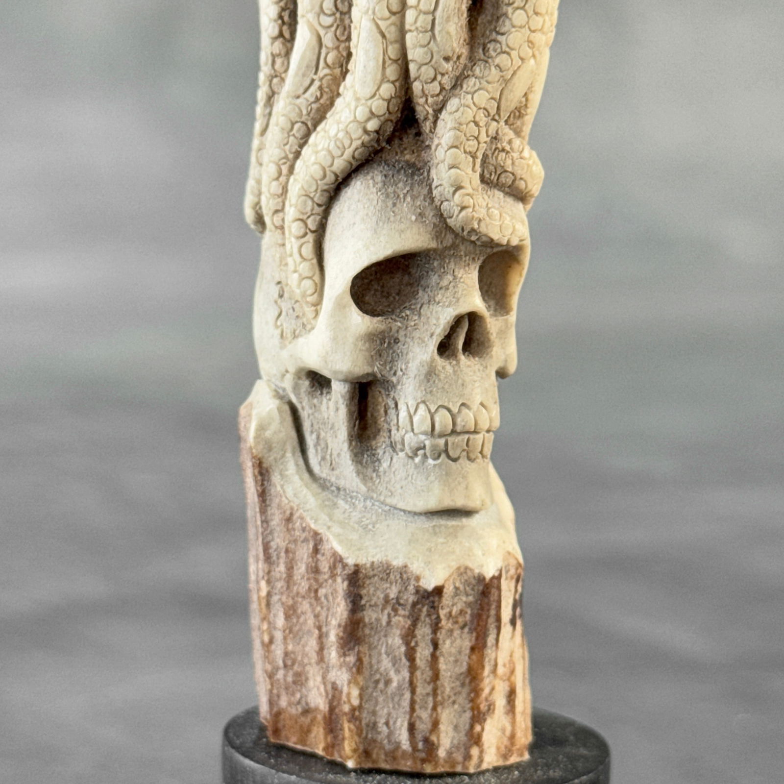 Stunning carved piece of deer antler - Skull with an octopus - 10
