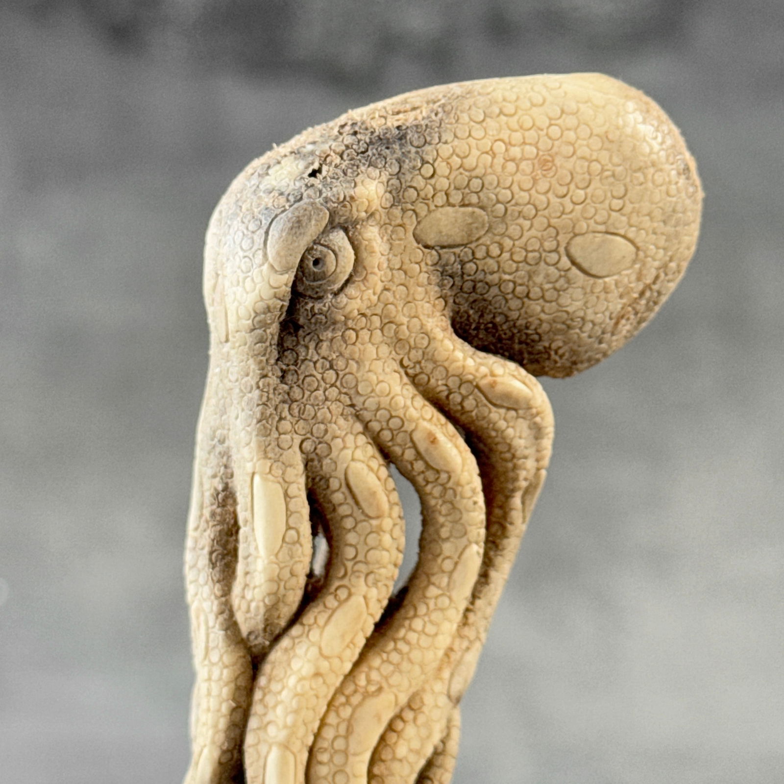 Stunning carved piece of deer antler - Skull with an octopus - 3