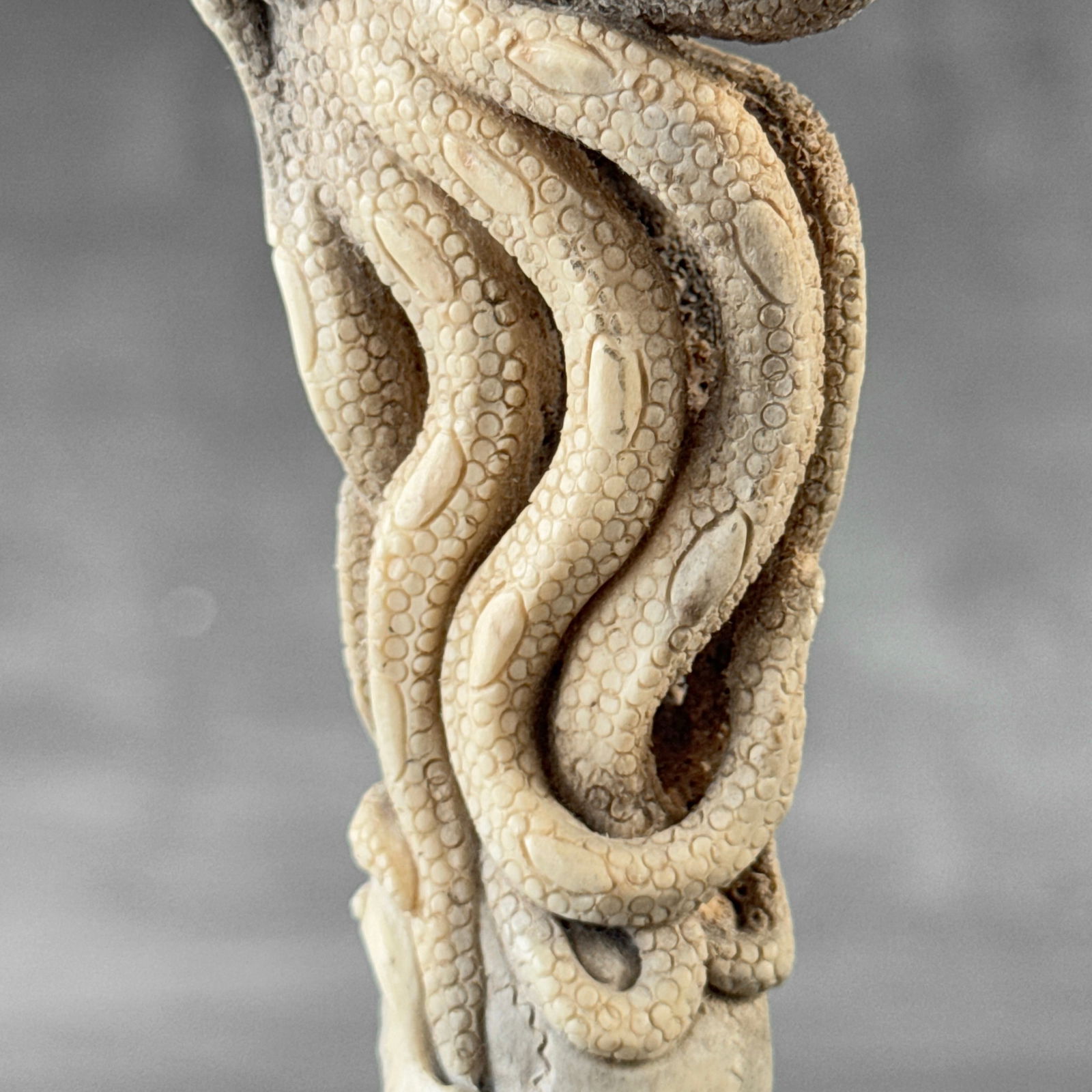 Stunning carved piece of deer antler - Skull with an octopus - 4