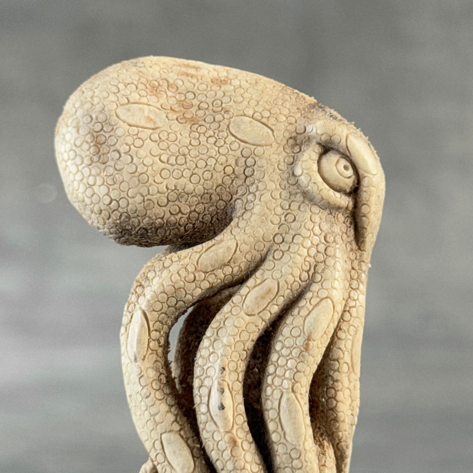 Stunning carved piece of deer antler - Skull with an octopus - 6