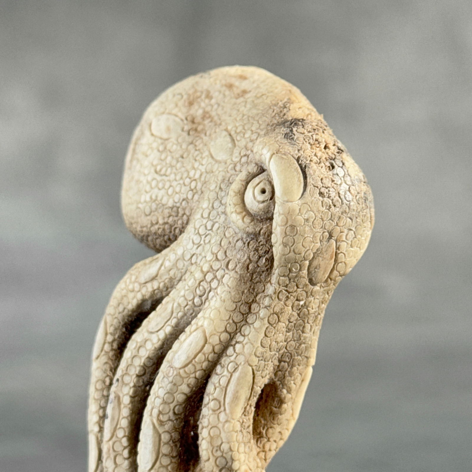 Stunning carved piece of deer antler - Skull with an octopus - 9