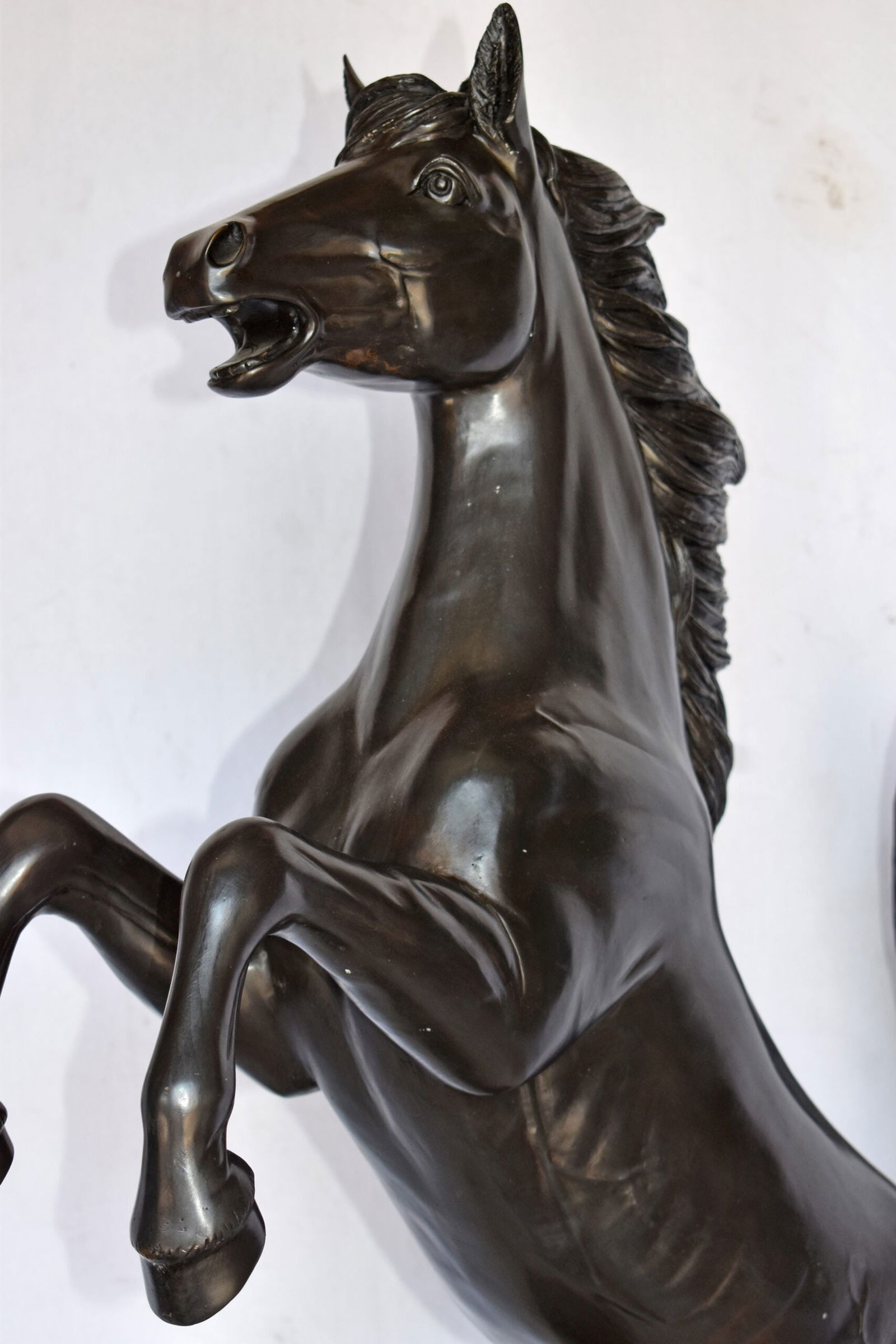 Ferrari Horse Bronze Statue Medium - Size: 28"L x 11"W x 40"H. - 12