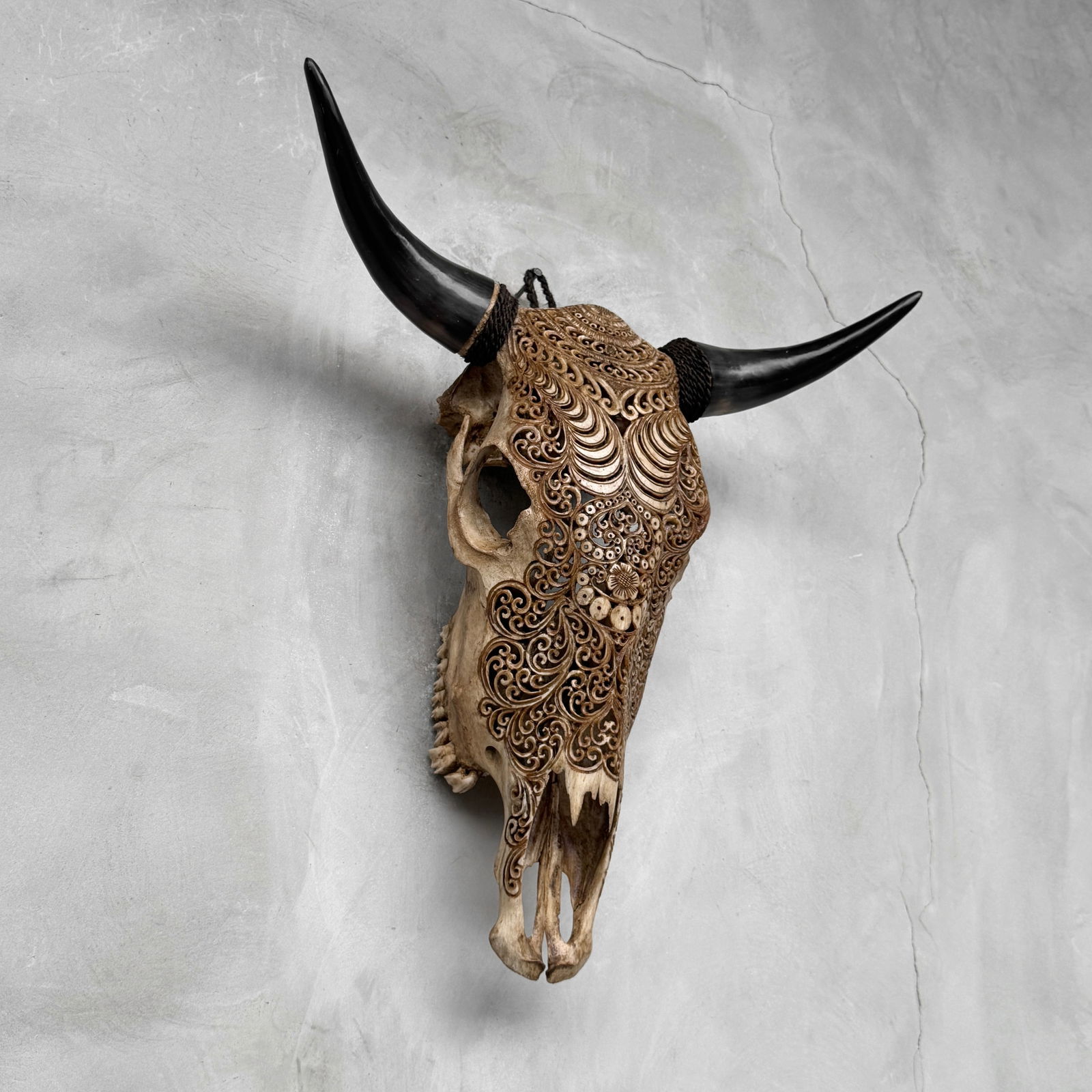 Stunning carved brown bull's skull - Badong motif - 5