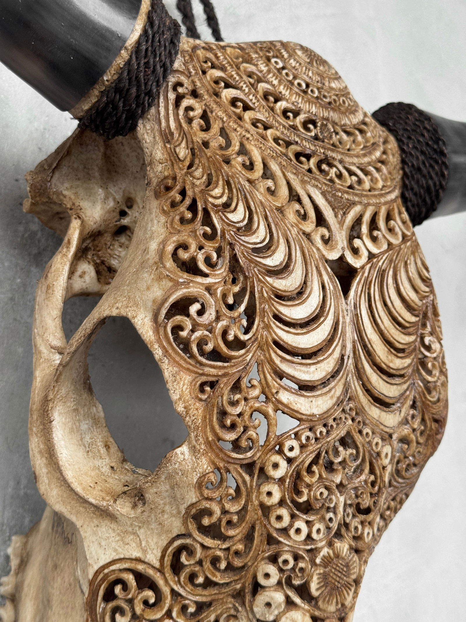 Stunning carved brown bull's skull - Badong motif - 6